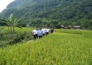 Kiểm tra công tác chỉ đạo xây dựng nông thôn mới trên địa bàn xã Phú Lệ
