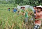 Đoàn viên thanh niên xã Phú Lệ ra quân tình nguyện hè năm 2022