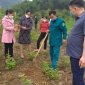 Cơ quan UBND xã Phú Lệ hưởng ứng Tết trồng cây xuân Nhâm Dầm năm 2022