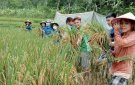 Đoàn viên thanh niên xã Phú Lệ ra quân tình nguyện hè năm 2022